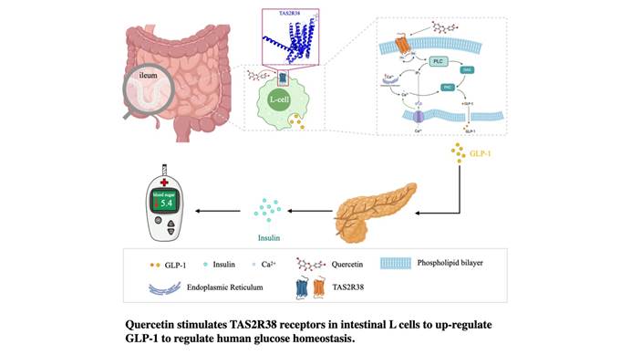 图示AI 生成的内容可能不正确。